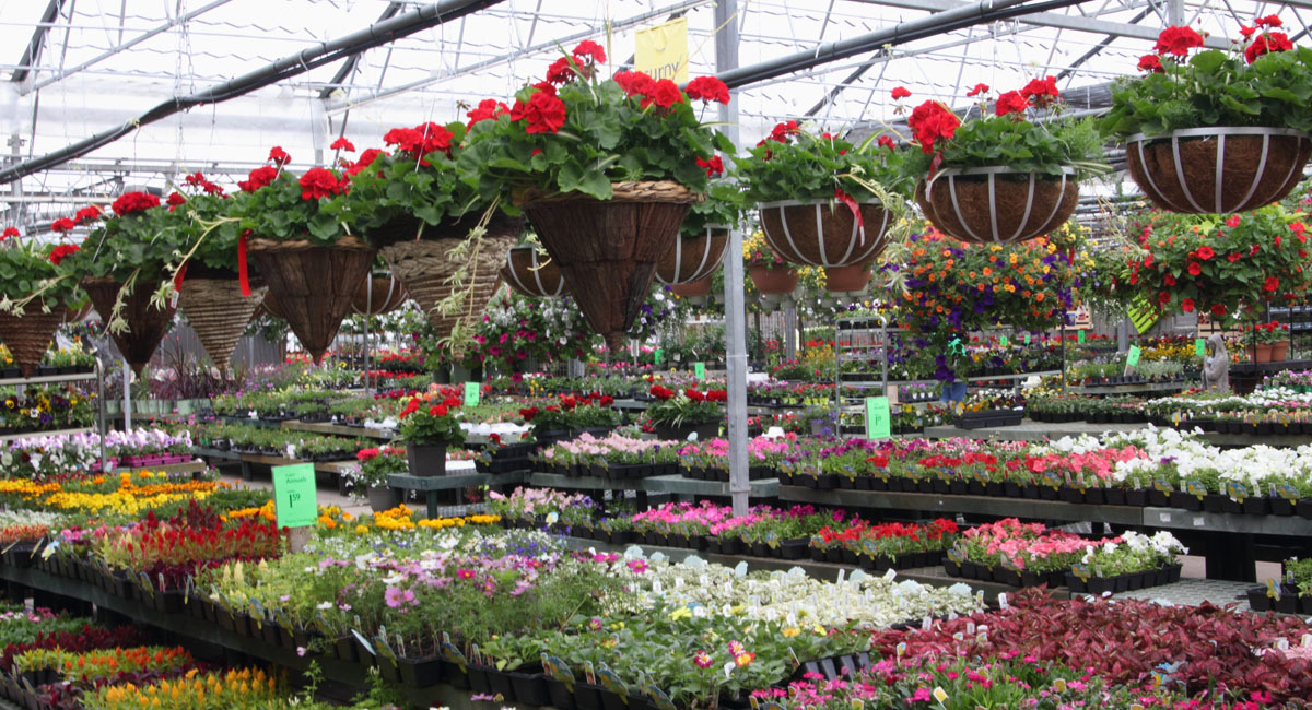 Garden Center & Nursery | Prairie Gardens - Champaign, IL