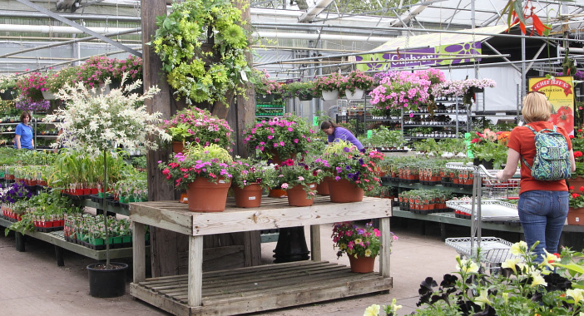 Homepage Prairie Gardens Jeffrey Alans Homepage Prairie Gardens Jeffrey Alans