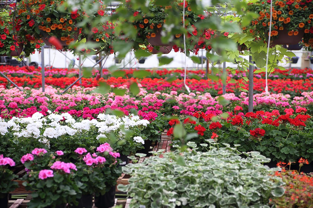 Garden Center & Nursery Prairie Gardens Champaign, IL