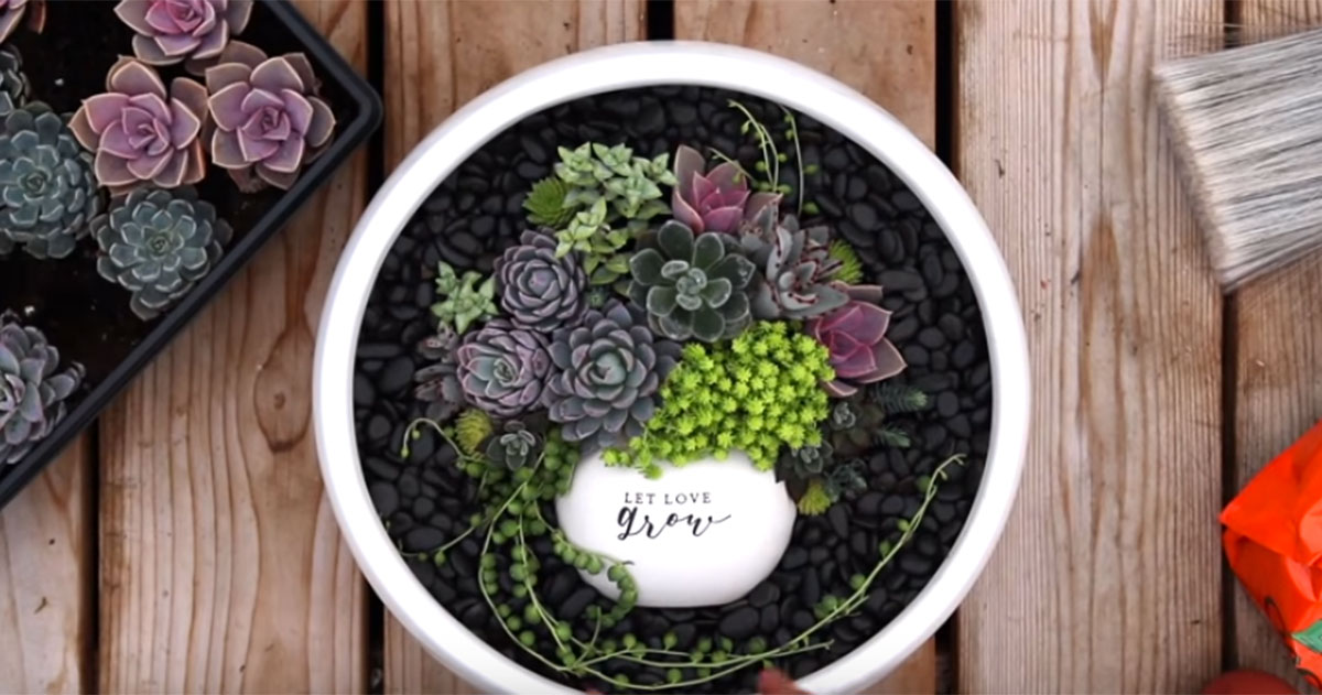 Succulent Pot in A Pot DIY