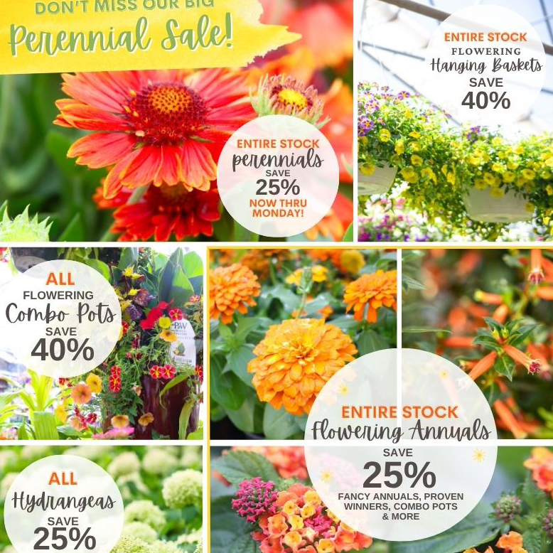 PG Savings