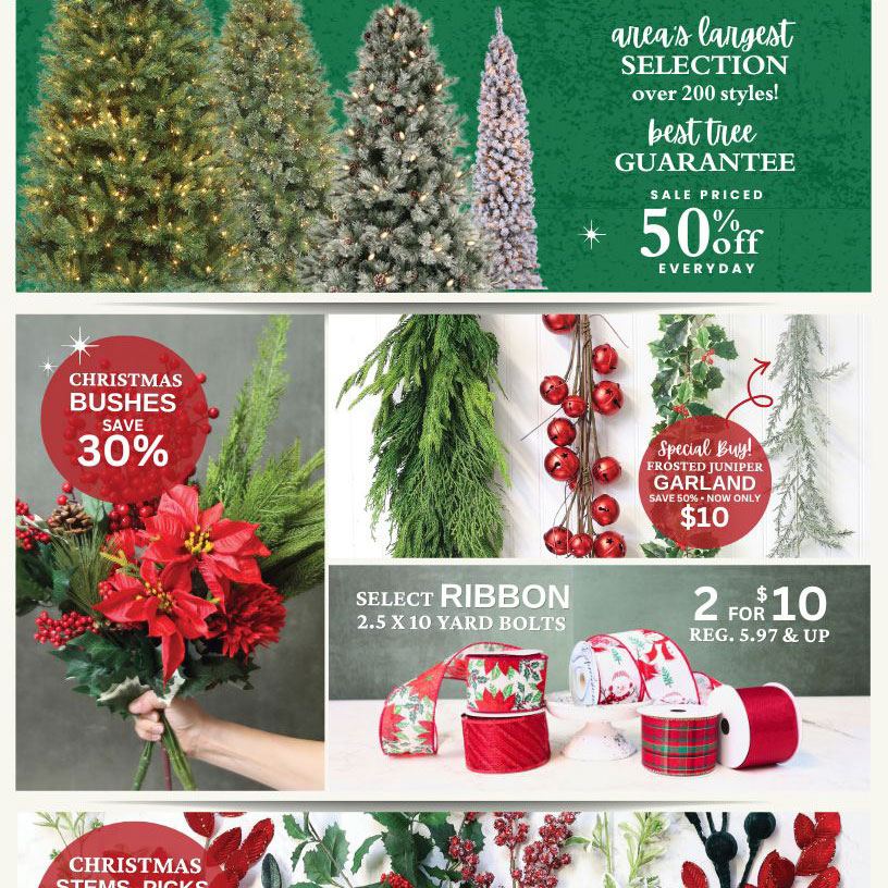 PG Nov 6-19 Specials