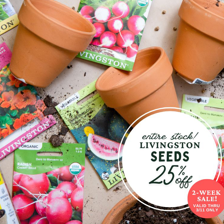 JA FEB 26-MARCH 11 Specials