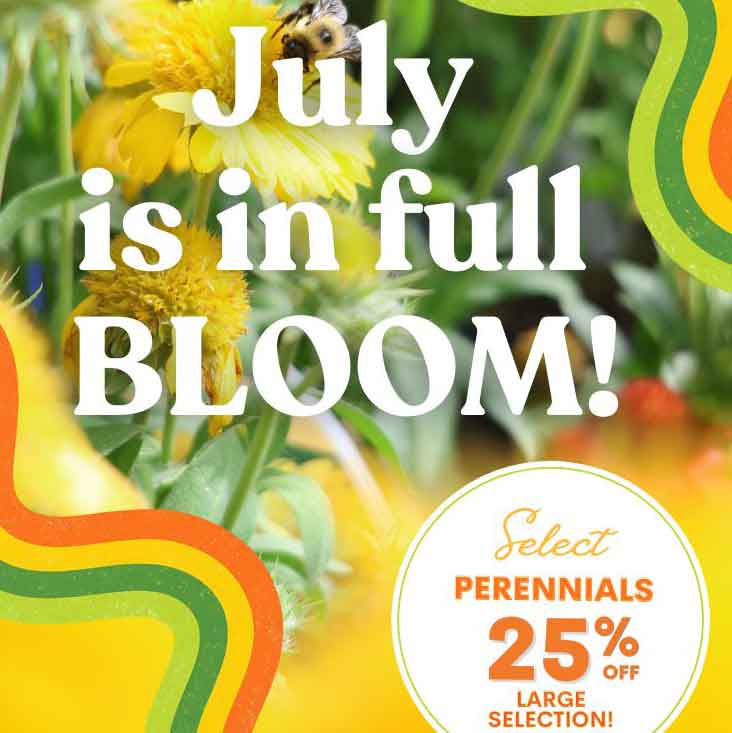 PG Specials