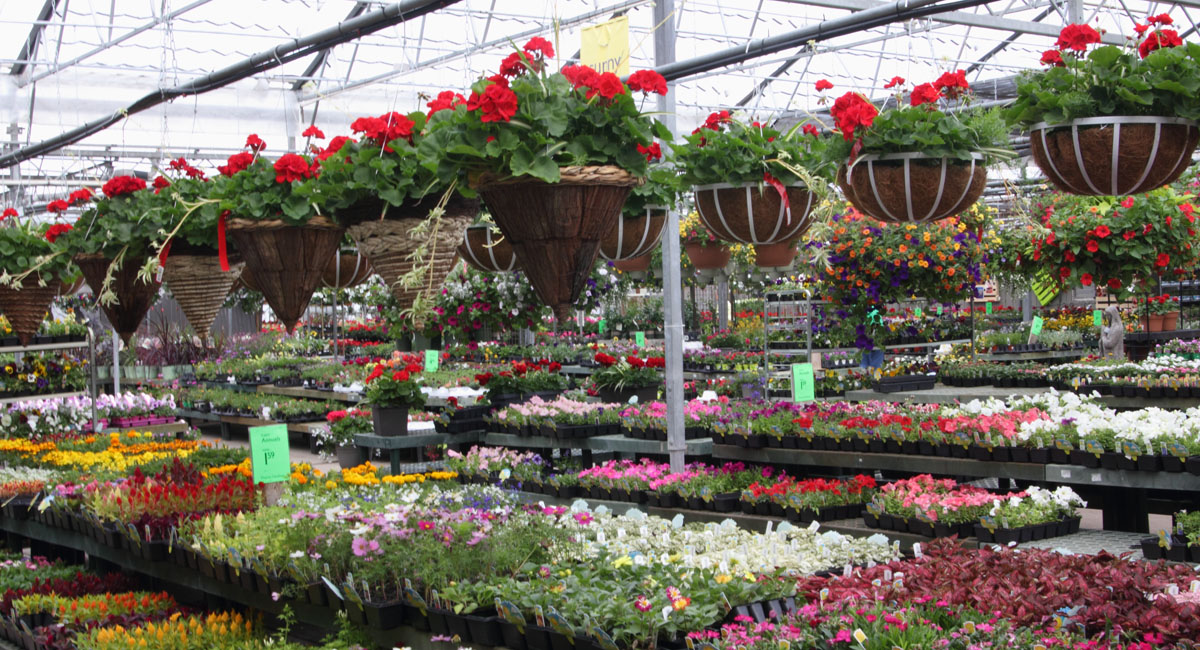 Garden Center Nursery Prairie Gardens Champaign Il