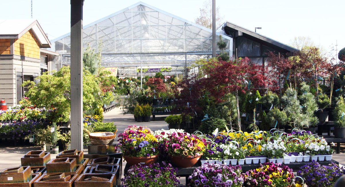 Garden Center Nursery Prairie Gardens Champaign Il