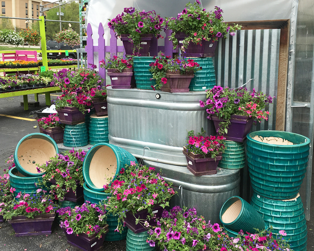 PopUp Garden Center Jeffrey Alans